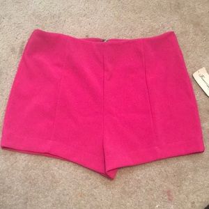 Hot Pink Shorts • NWT